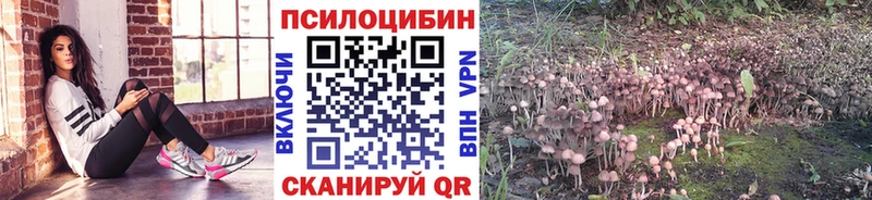 Псилоцибиновые грибы MAGIC MUSHROOMS  ссылка на мегу ONION  Невьянск 